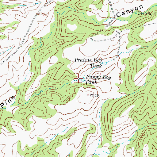 Topographic Map of Puppy Dog Tank, NM