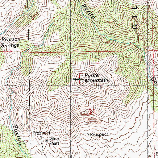 Topographic Map of Pyrite Mountain, NM