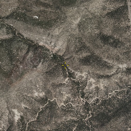 Aerial/Satellite Image of Quarter Corner Springs, NM