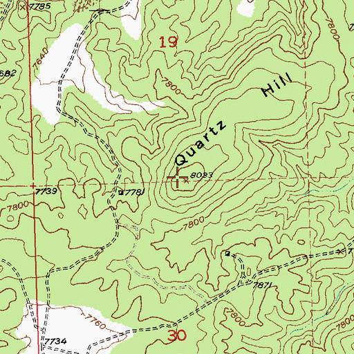 Topographic Map of Quartz Hill, NM