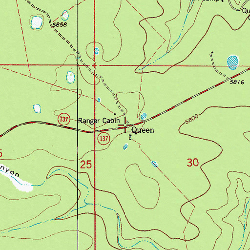 Topographic Map of Queen, NM