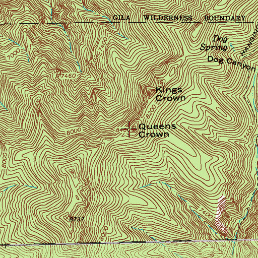 Topographic Map of Queens Crown, NM