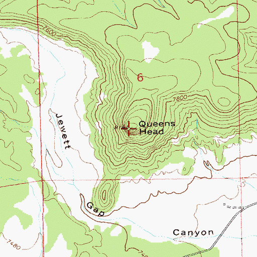 Topographic Map of Queens Head, NM