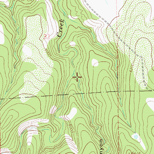 Topographic Map of Racetrack Canyon, NM