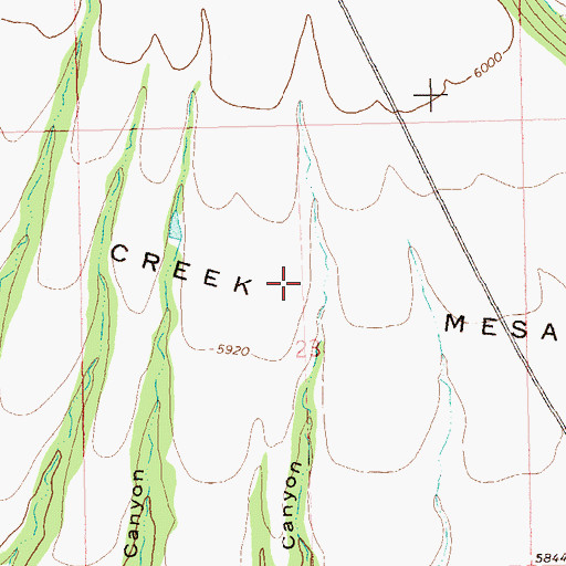 Topographic Map of Rain Creek Mesa, NM