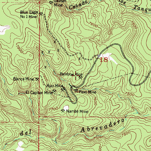 Topographic Map of Rainbow Mine, NM