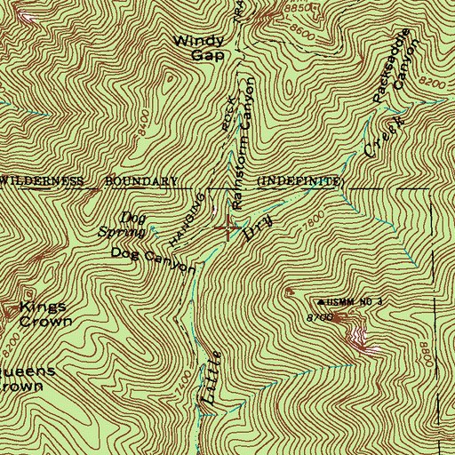 Topographic Map of Rainstorm Canyon, NM