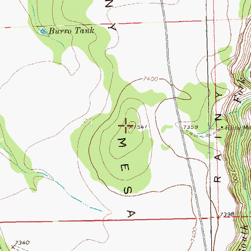 Topographic Map of Rainy Mesa, NM