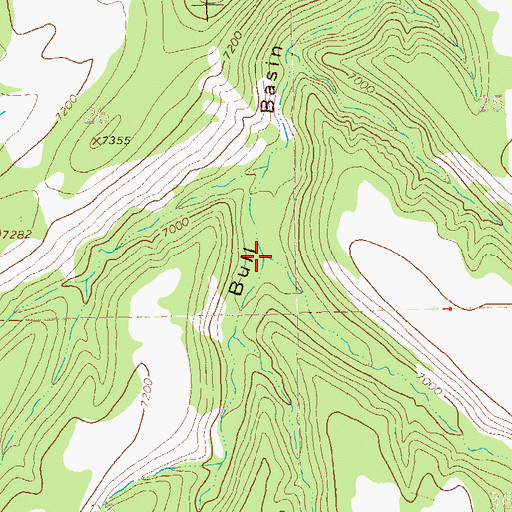 Topographic Map of Rainy Mesa Canyon, NM