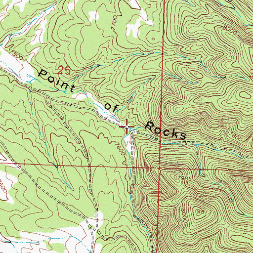 Topographic Map of Ranch Supply Canyon, NM