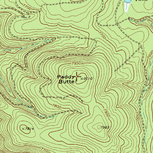 Topographic Map of Paddy Butte, AZ