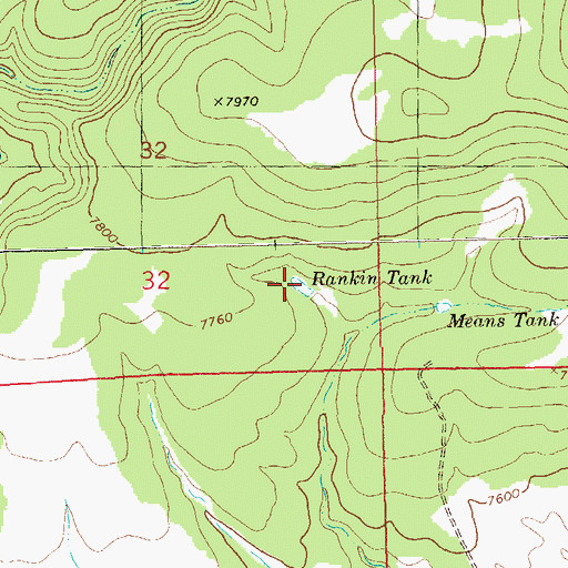 Topographic Map of Rankin Tank, NM