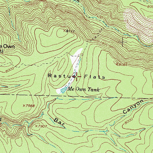 Topographic Map of Rastus Flats, NM