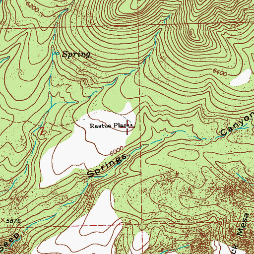 Topographic Map of Rastus Place, NM