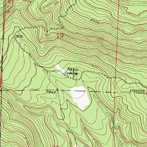 Topographic Map of Raton Spring, NM