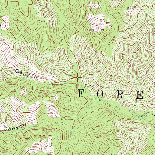 Topographic Map of Rattlesnake Canyon, NM