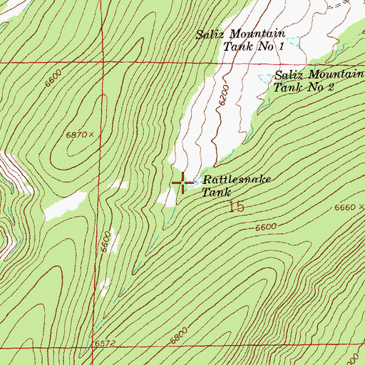 Topographic Map of Rattlesnake Tank, NM