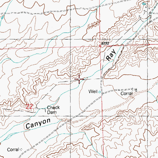 Topographic Map of Ray Canyon, NM