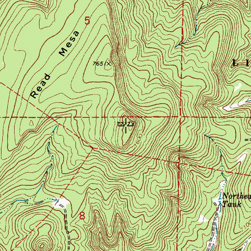 Topographic Map of Read Mesa, NM