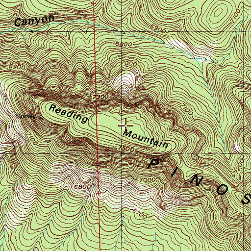 Topographic Map of Reading Mountain, NM