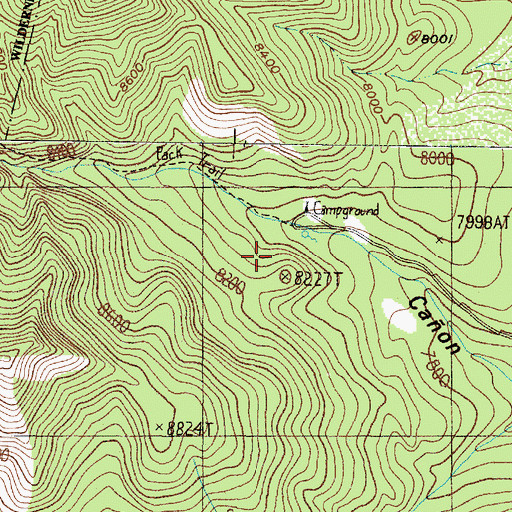 Topographic Map of Red Canyon Picnic Grounds, NM