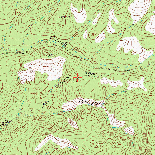 Topographic Map of Red Canyon Trail, NM