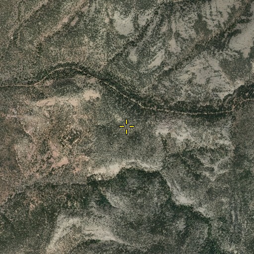Aerial/Satellite Image of Red Canyon Trail, NM