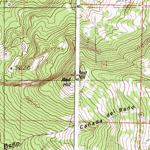Topographic Map of Red Hill, NM