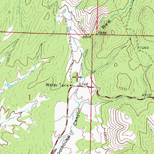 Topographic Map of Red Hill Canyon, NM