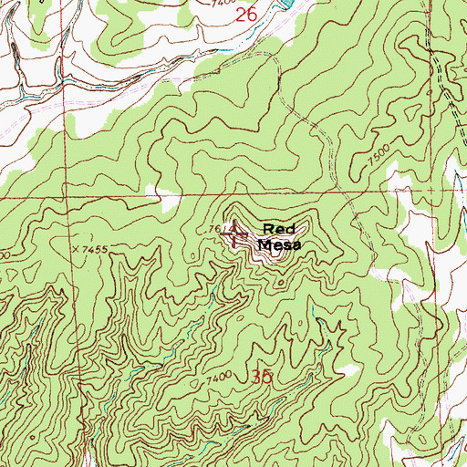 Topographic Map of Red Mesa, NM