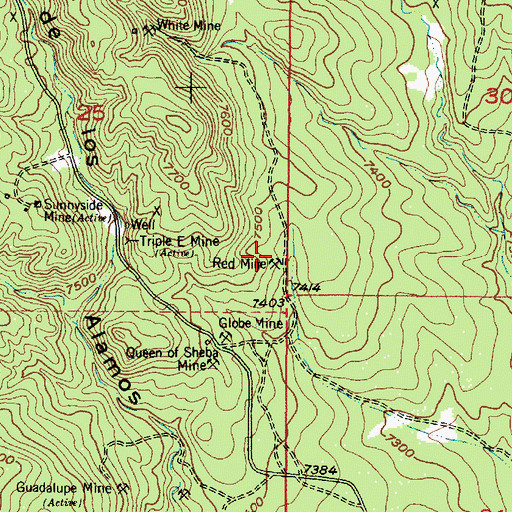 Topographic Map of Red Mine, NM