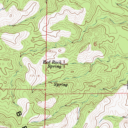 Topographic Map of Red Rock Spring, NM
