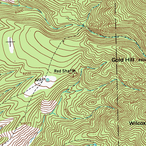 Topographic Map of Red Shaft, NM