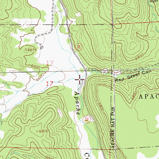 Topographic Map of Red Steer Canyon, NM