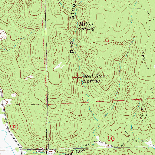 Topographic Map of Red Steer Spring, NM