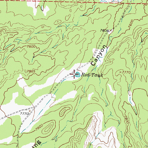 Topographic Map of Red Tank, NM