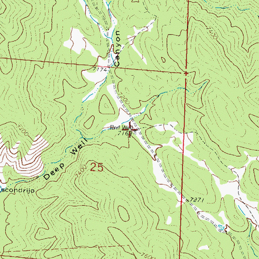 Topographic Map of Red Well, NM