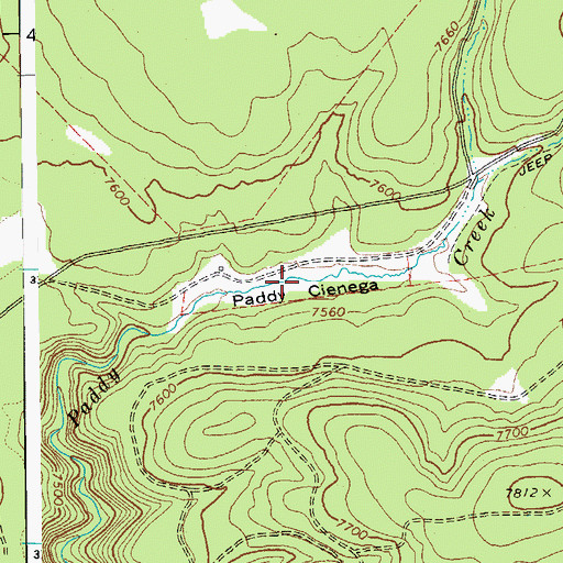Topographic Map of Paddy Cienega, AZ