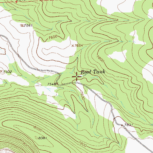 Topographic Map of Reed Tank, NM
