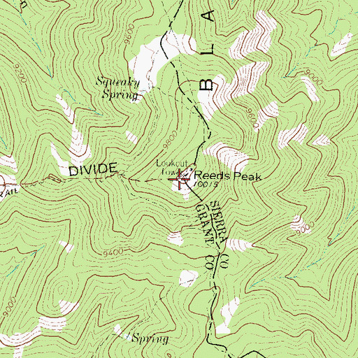Topographic Map of Reeds Peak, NM