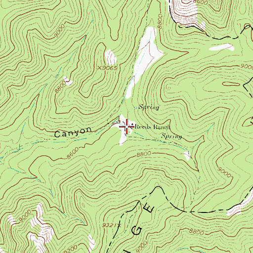 Topographic Map of Reeds Ranch, NM