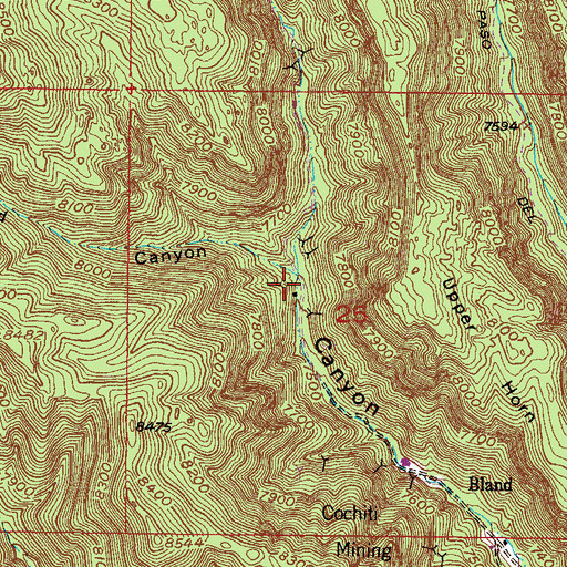 Topographic Map of Reid Canyon, NM