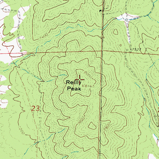 Topographic Map of Reilly Peak, NM