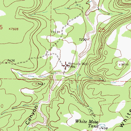 Topographic Map of Remuda Well, NM
