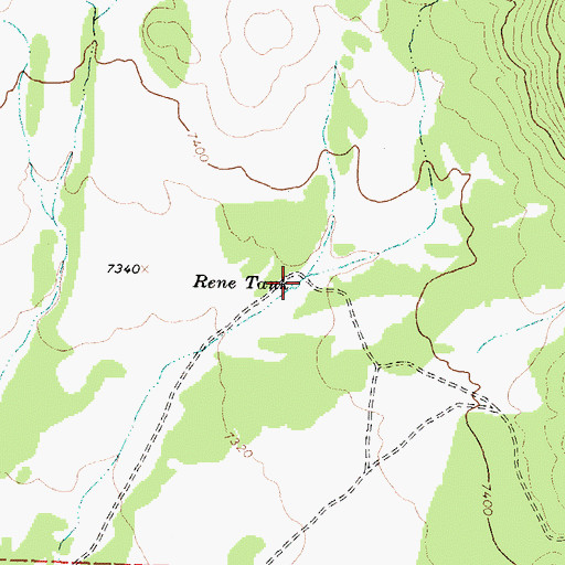 Topographic Map of Rene Tank, NM