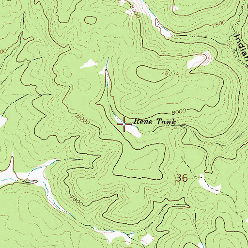 Topographic Map of Rene Tank, NM