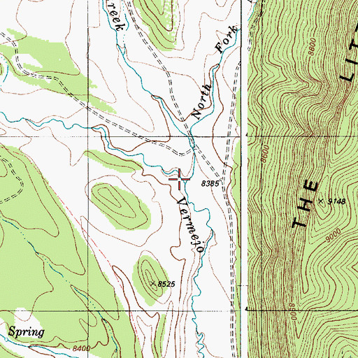 Topographic Map of Ricardo Creek, NM