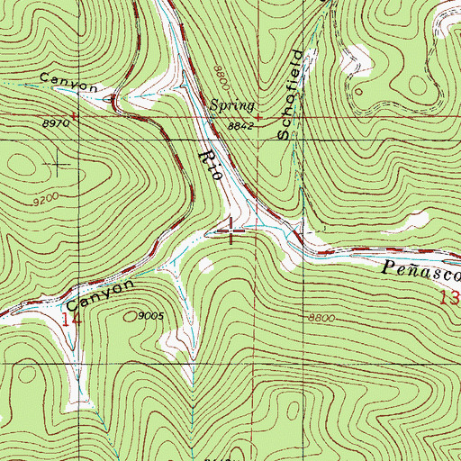 Topographic Map of Rice Canyon, NM
