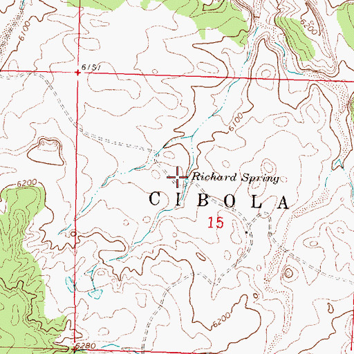 Topographic Map of Richard Spring, NM