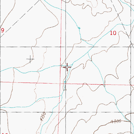 Topographic Map of Ricketson Draw, NM